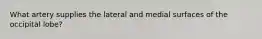 What artery supplies the lateral and medial surfaces of the occipital lobe?