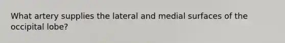 What artery supplies the lateral and medial surfaces of the occipital lobe?