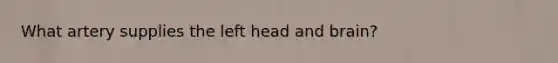 What artery supplies the left head and brain?