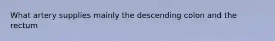 What artery supplies mainly the descending colon and the rectum