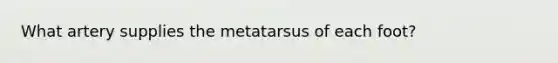 What artery supplies the metatarsus of each foot?