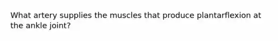 What artery supplies the muscles that produce plantarflexion at the ankle joint?