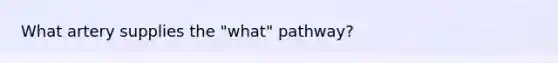 What artery supplies the "what" pathway?