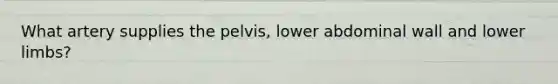 What artery supplies the pelvis, lower abdominal wall and <a href='https://www.questionai.com/knowledge/kF4ILRdZqC-lower-limb' class='anchor-knowledge'>lower limb</a>s?