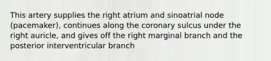 This artery supplies the right atrium and sinoatrial node (pacemaker), continues along the coronary sulcus under the right auricle, and gives off the right marginal branch and the posterior interventricular branch