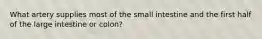 What artery supplies most of the small intestine and the first half of the large intestine or colon?