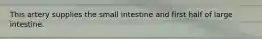 This artery supplies the small intestine and first half of large intestine.