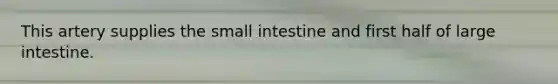 This artery supplies the small intestine and first half of large intestine.