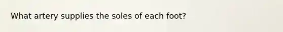 What artery supplies the soles of each foot?