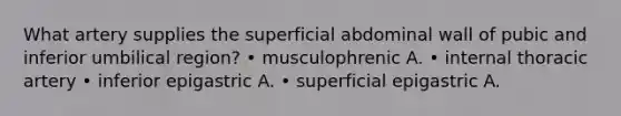 What artery supplies the superficial abdominal wall of pubic and inferior umbilical region? • musculophrenic A. • internal thoracic artery • inferior epigastric A. • superficial epigastric A.