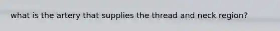 what is the artery that supplies the thread and neck region?