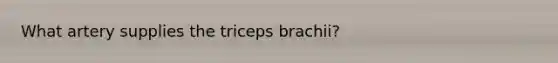 What artery supplies the triceps brachii?