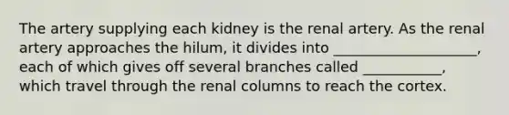 The artery supplying each kidney is the renal artery. As the renal artery approaches the hilum, it divides into ____________________, each of which gives off several branches called ___________, which travel through the renal columns to reach the cortex.