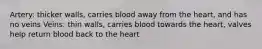 Artery: thicker walls, carries blood away from the heart, and has no veins Veins: thin walls, carries blood towards the heart, valves help return blood back to the heart