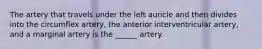 The artery that travels under the left auricle and then divides into the circumflex artery, the anterior interventricular artery, and a marginal artery is the ______ artery.