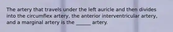 The artery that travels under the left auricle and then divides into the circumflex artery, the anterior interventricular artery, and a marginal artery is the ______ artery.