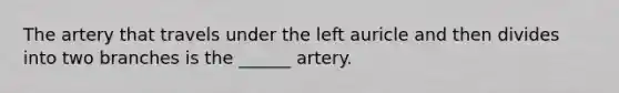 The artery that travels under the left auricle and then divides into two branches is the ______ artery.