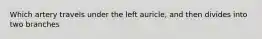 Which artery travels under the left auricle, and then divides into two branches