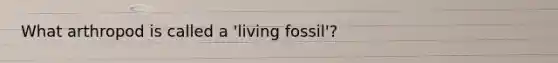 What arthropod is called a 'living fossil'?