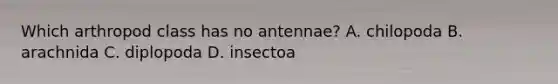 Which arthropod class has no antennae? A. chilopoda B. arachnida C. diplopoda D. insectoa