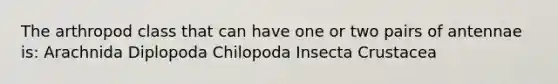 The arthropod class that can have one or two pairs of antennae is: Arachnida Diplopoda Chilopoda Insecta Crustacea