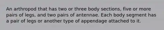 An arthropod that has two or three body sections, five or more pairs of legs, and two pairs of antennae. Each body segment has a pair of legs or another type of appendage attached to it.