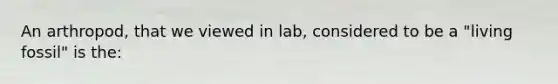 An arthropod, that we viewed in lab, considered to be a "living fossil" is the: