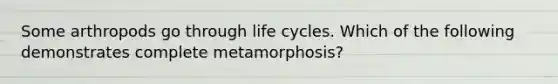 Some arthropods go through life cycles. Which of the following demonstrates complete metamorphosis?