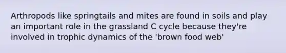 Arthropods like springtails and mites are found in soils and play an important role in the grassland C cycle because they're involved in trophic dynamics of the 'brown food web'