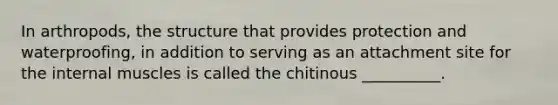 In arthropods, the structure that provides protection and waterproofing, in addition to serving as an attachment site for the internal muscles is called the chitinous __________.