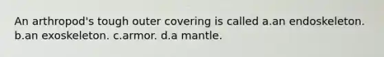 An arthropod's tough outer covering is called a.an endoskeleton. b.an exoskeleton. c.armor. d.a mantle.