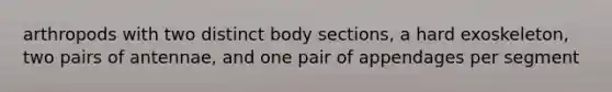 arthropods with two distinct body sections, a hard exoskeleton, two pairs of antennae, and one pair of appendages per segment