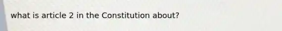 what is article 2 in the Constitution about?