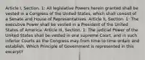 Article I, Section. 1: All legislative Powers herein granted shall be vested in a Congress of the United States, which shall consist of a Senate and House of Representatives. Article II, Section. 1: The executive Power shall be vested in a President of the United States of America. Article III, Section. 1: The judicial Power of the United States shall be vested in one supreme Court, and in such inferior Courts as the Congress may from time to time ordain and establish. Which Principle of Government is represented in this excerpt?