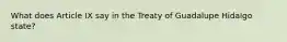 What does Article IX say in the Treaty of Guadalupe Hidalgo state?