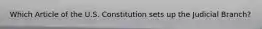 Which Article of the U.S. Constitution sets up the Judicial Branch?