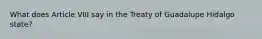 What does Article VIII say in the Treaty of Guadalupe Hidalgo state?