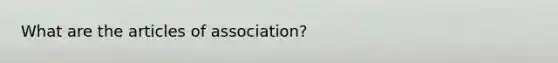 What are the articles of association?