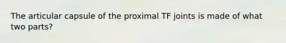 The articular capsule of the proximal TF joints is made of what two parts?