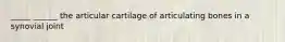 _____ ______ the articular cartilage of articulating bones in a synovial joint