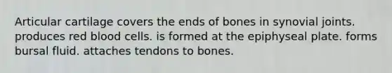 Articular cartilage covers the ends of bones in synovial joints. produces red blood cells. is formed at the epiphyseal plate. forms bursal fluid. attaches tendons to bones.