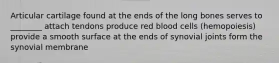 Articular cartilage found at the ends of the long bones serves to ________ attach tendons produce red blood cells (hemopoiesis) provide a smooth surface at the ends of synovial joints form the synovial membrane