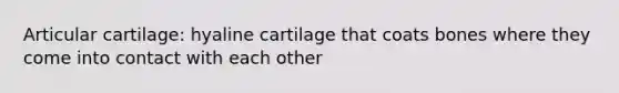 Articular cartilage: hyaline cartilage that coats bones where they come into contact with each other