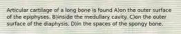 Articular cartilage of a long bone is found A)on the outer surface of the epiphyses. B)inside the medullary cavity. C)on the outer surface of the diaphysis. D)in the spaces of the spongy bone.