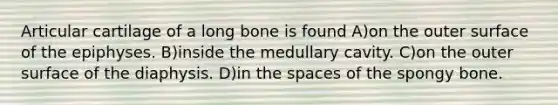 Articular cartilage of a long bone is found A)on the outer surface of the epiphyses. B)inside the medullary cavity. C)on the outer surface of the diaphysis. D)in the spaces of the spongy bone.