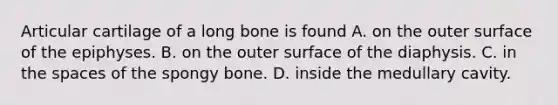 Articular cartilage of a long bone is found A. on the outer surface of the epiphyses. B. on the outer surface of the diaphysis. C. in the spaces of the spongy bone. D. inside the medullary cavity.