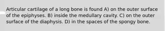 Articular cartilage of a long bone is found A) on the outer surface of the epiphyses. B) inside the medullary cavity. C) on the outer surface of the diaphysis. D) in the spaces of the spongy bone.