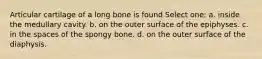 Articular cartilage of a long bone is found Select one: a. inside the medullary cavity. b. on the outer surface of the epiphyses. c. in the spaces of the spongy bone. d. on the outer surface of the diaphysis.