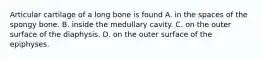 Articular cartilage of a long bone is found A. in the spaces of the spongy bone. B. inside the medullary cavity. C. on the outer surface of the diaphysis. D. on the outer surface of the epiphyses.