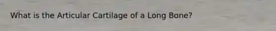 What is the Articular Cartilage of a Long Bone?